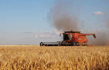 Image showing Harvest