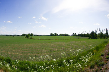 Image showing Countryside