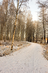 Image showing Winter