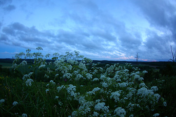 Image showing Landscape