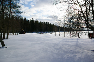 Image showing Winter