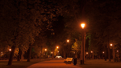 Image showing Night walk in a park