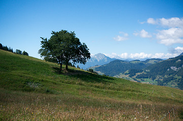 Image showing Mountain landscape in Alps