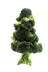 Image showing christmas tree from brocolli 
