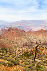 Image showing Grand Canyon