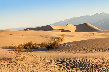 Image showing Death Valley Desert