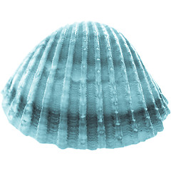 Image showing Shell picture