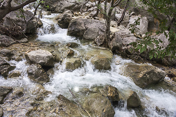 Image showing Small Mountain Stream