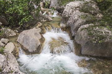 Image showing Mountain Stream