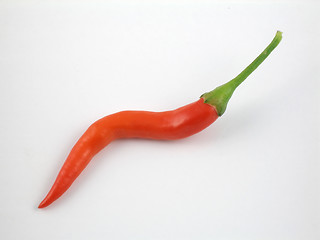Image showing Cayenne pepper