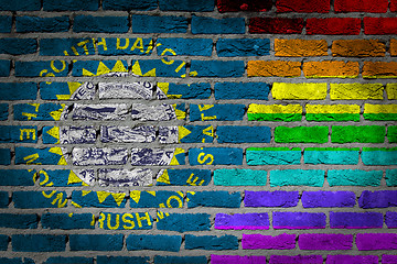 Image showing Dark brick wall - LGBT rights - South Dakota