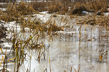 Image showing Pond