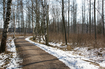 Image showing Dirt road