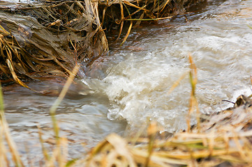 Image showing Creek