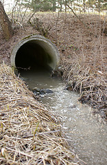 Image showing Creek