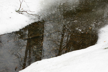 Image showing Pond