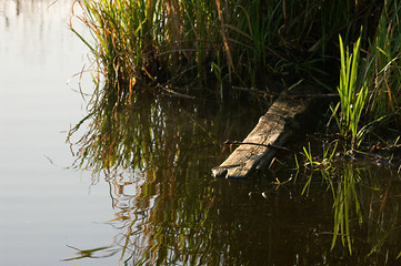 Image showing Board in the river