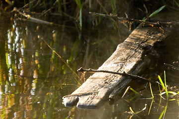 Image showing Board in the river