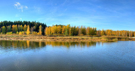 Image showing Autumn colors