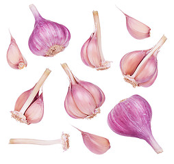 Image showing Fresh garlic