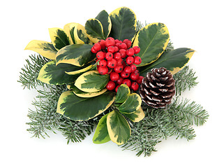 Image showing Variegated Holly Decoration