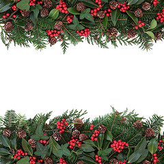 Image showing Winter Floral Border