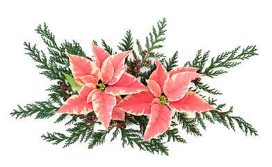 Image showing Poinsettia Flower Decoration