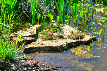 Image showing Tiles