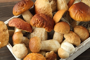 Image showing Porcini mushrooms