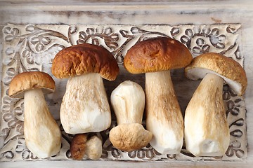 Image showing Porcini mushrooms