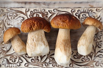 Image showing Porcini mushrooms