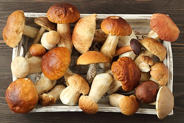 Image showing Porcini mushrooms