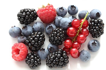 Image showing Berries