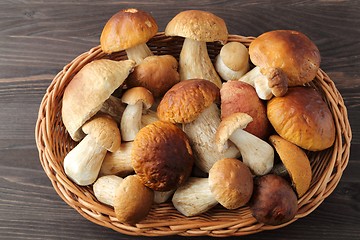 Image showing Porcini mushrooms