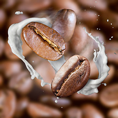 Image showing Falling roasted coffee beans with steam and milk