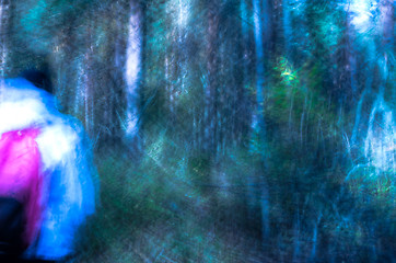 Image showing Lost in the forest