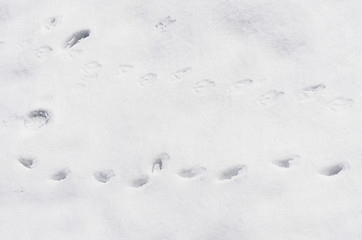 Image showing Footprints