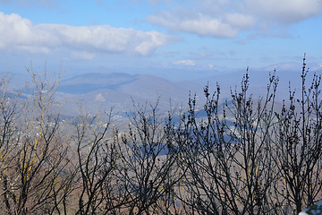 Image showing Mountain view with trees