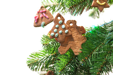 Image showing Gingerbread cookies on christmas tree