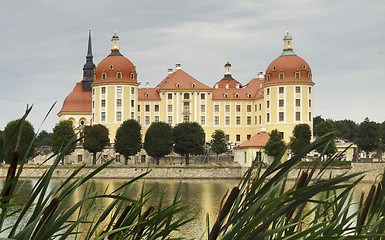 Image showing Moritzburg Castle