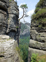 Image showing Saxon Switzerland