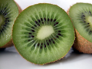 Image showing kiwi