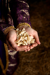 Image showing Hands holding Frankincense