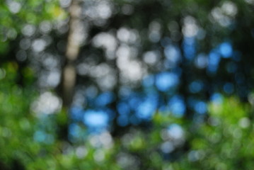 Image showing bokeh