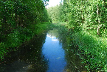 Image showing River across forest in Helsinki