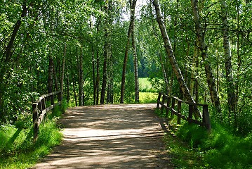 Image showing Bridge in forest in Helsinki