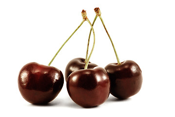 Image showing Sweet cherries