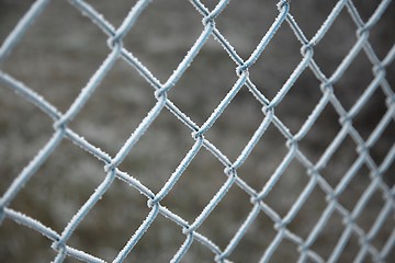 Image showing Winter Fence