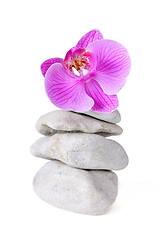 Image showing Spa stones and purple orchid