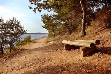 Image showing Wooden bench in national park Premantura